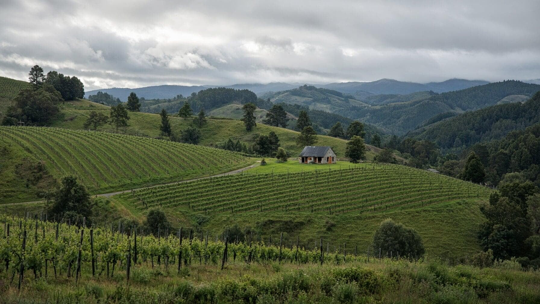 Tasmania